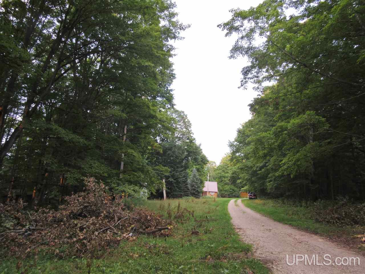 Tbd North Needle Pointe Road, Unit LOT 3 Germfask, MI 49836 - Photo 12 of 13