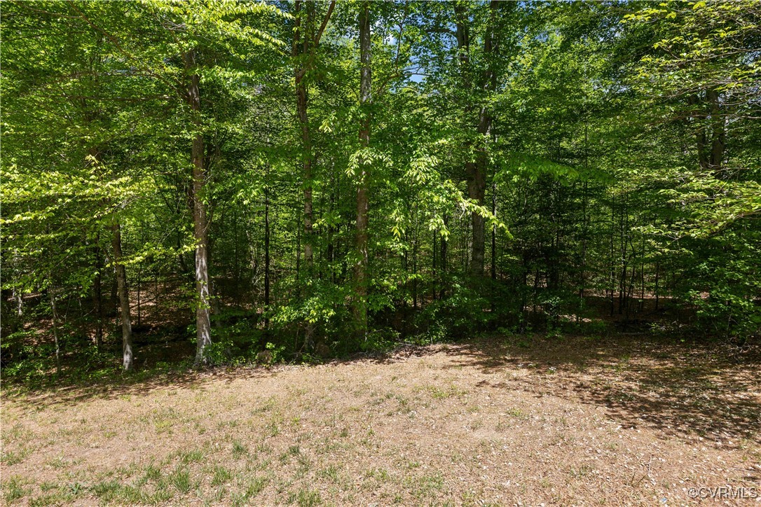 11730 Corte Castle Road Chesterfield, VA 23838 - Photo 36 of 50 View of landscape featuring a forest view