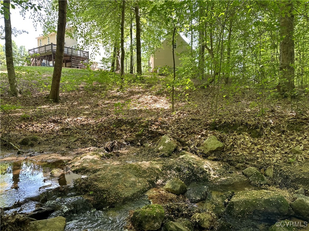 11730 Corte Castle Road Chesterfield, VA 23838 - Photo 45 of 50 View of landscape