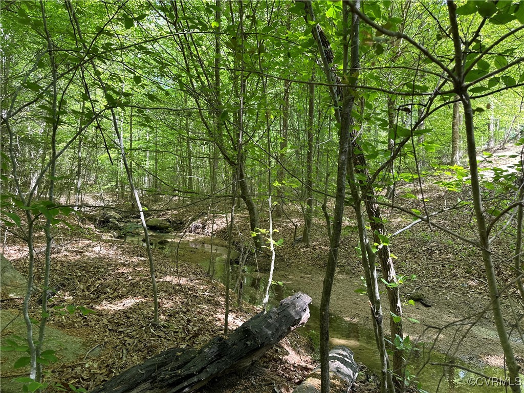 11730 Corte Castle Road Chesterfield, VA 23838 - Photo 46 of 50 View of landscape