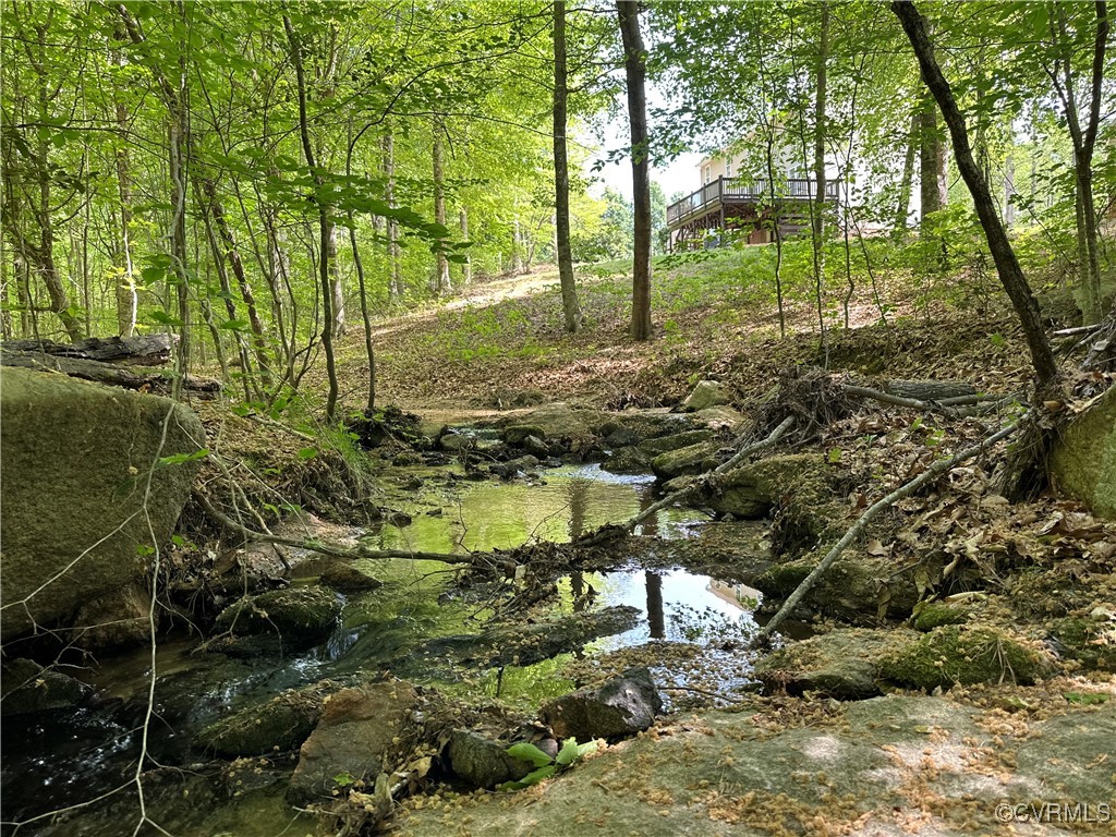 11730 Corte Castle Road Chesterfield, VA 23838 - Photo 47 of 50 View of nature