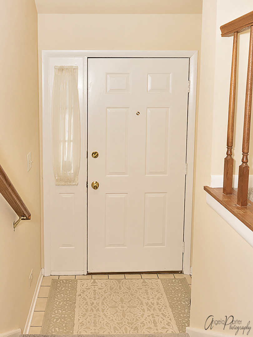 546 Park View Terrace Buffalo Grove, IL 60089 - Photo 2 of 20