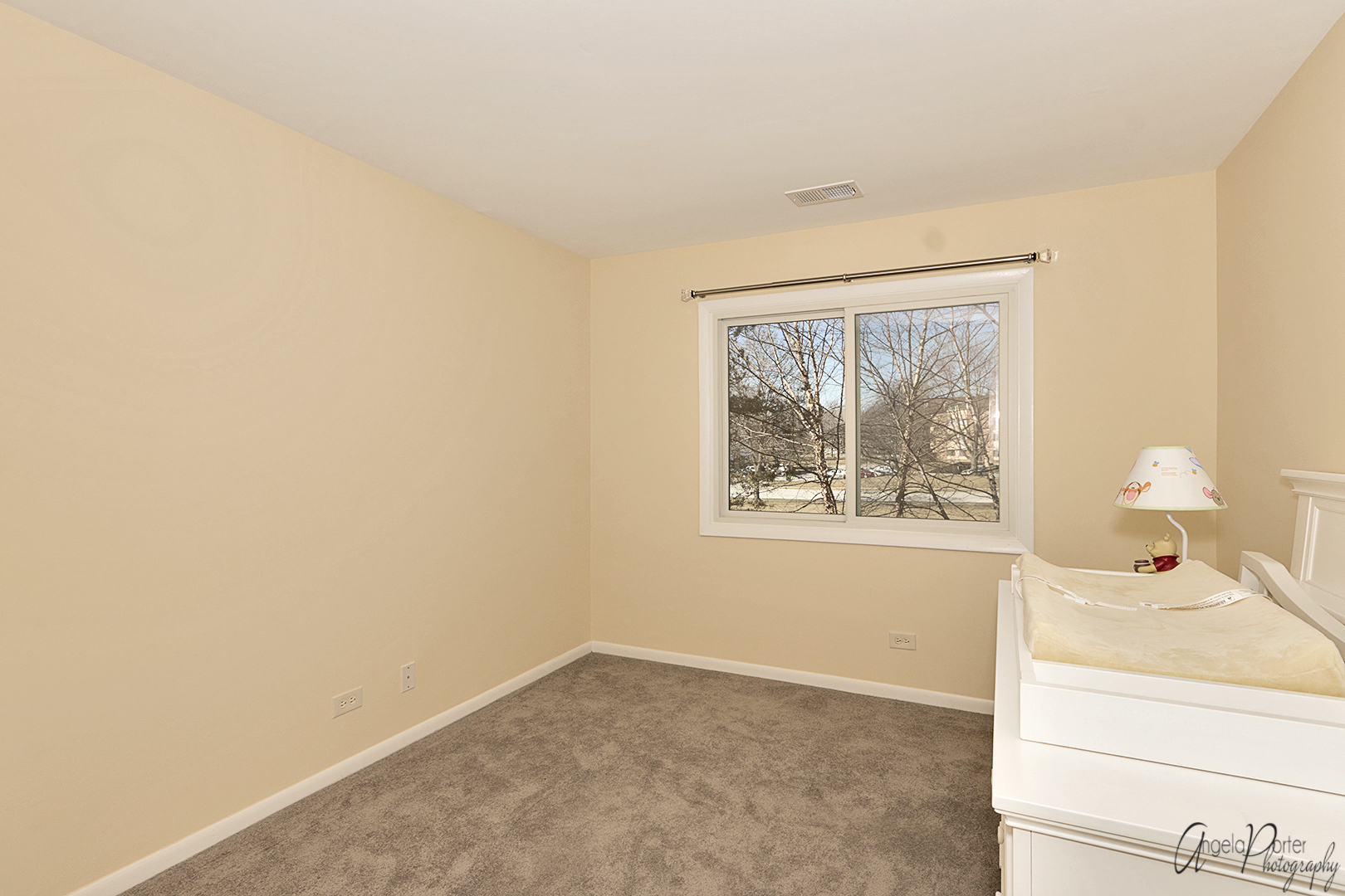 546 Park View Terrace Buffalo Grove, IL 60089 - Photo 11 of 20