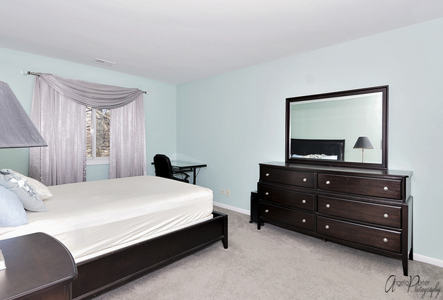 546 Park View Terrace Buffalo Grove, IL 60089 - Photo 12 of 20