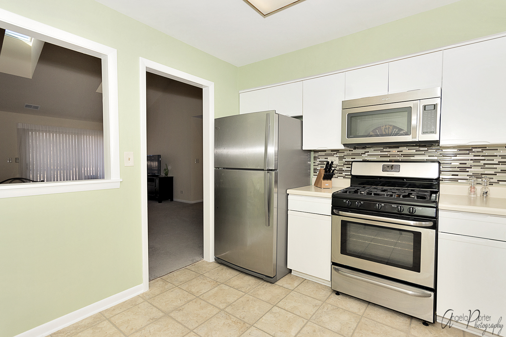 546 Park View Terrace Buffalo Grove, IL 60089 - Photo 9 of 20