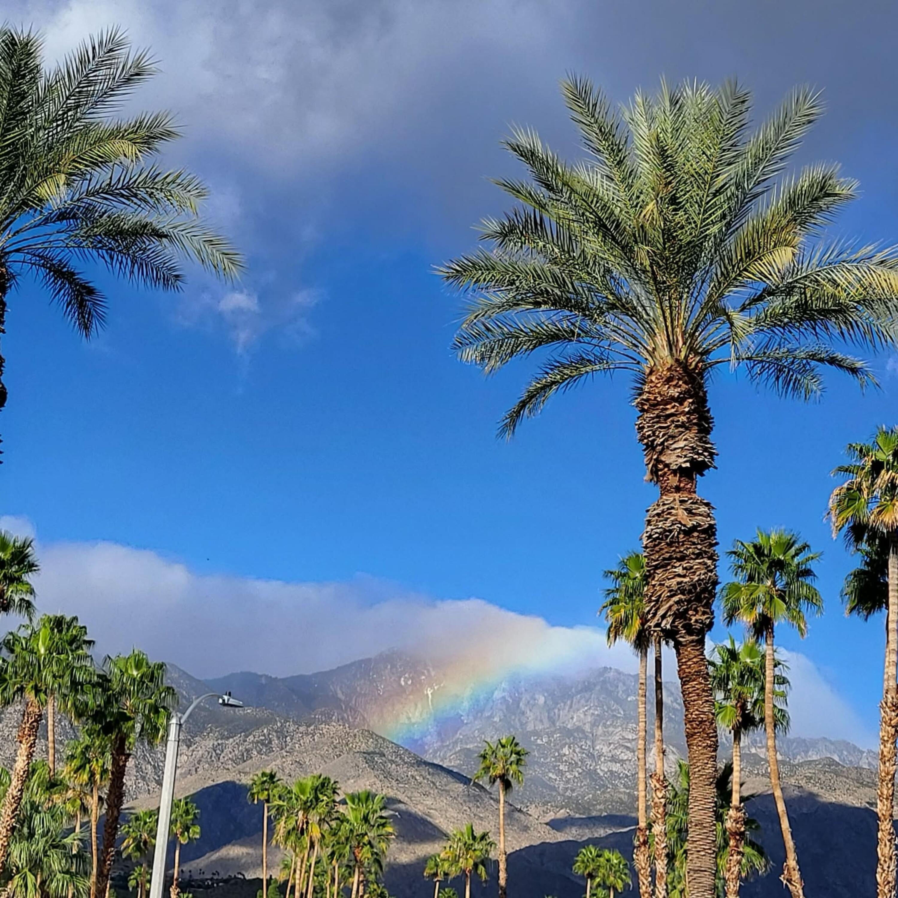 2700 Lawrence Crossley Road, Unit 7 Palm Springs, CA 92264 - Photo 26 of 28 a view of a house with a palm tree