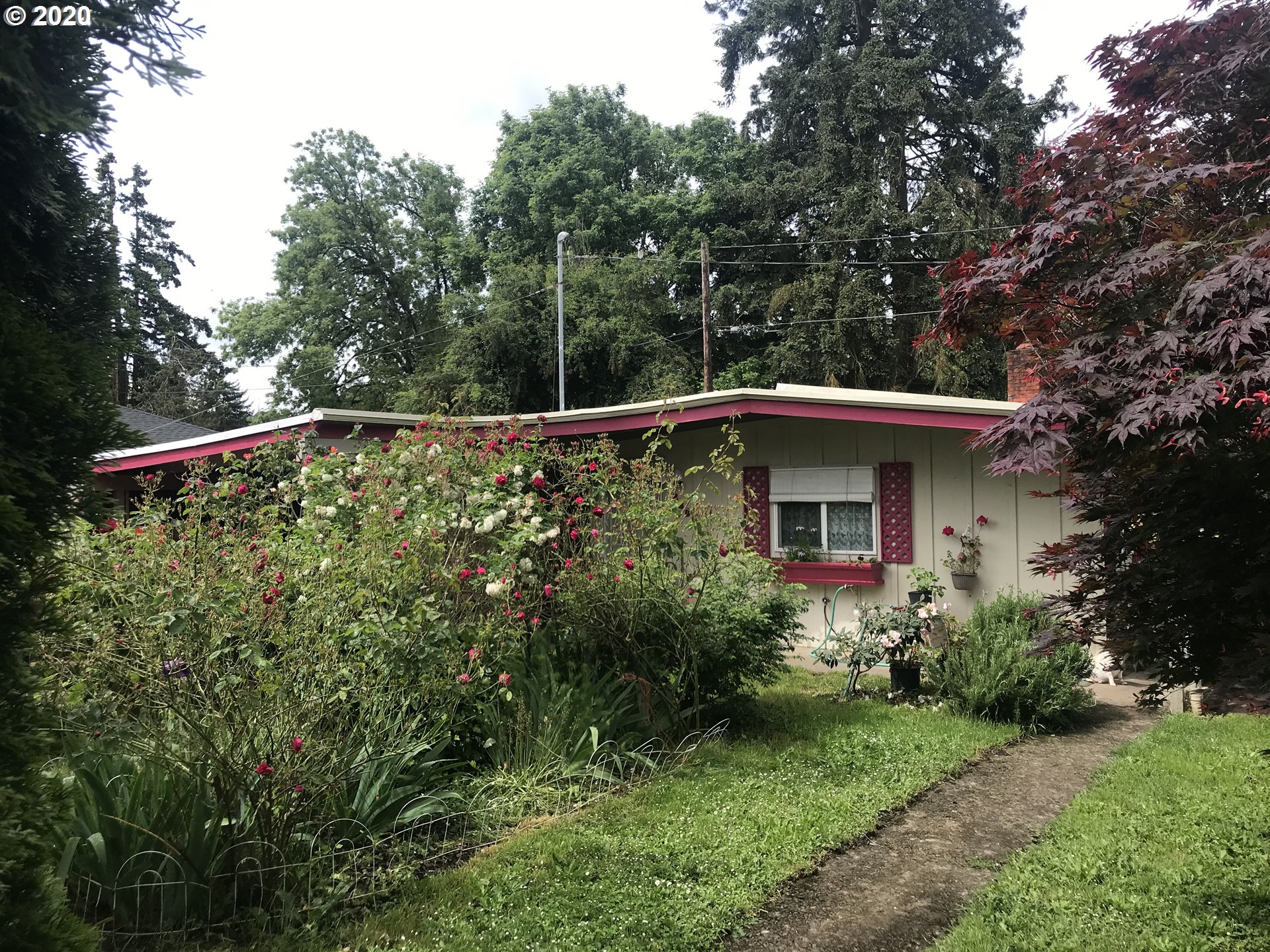 880 25th Place Springfield, OR 97477 - Photo 1 of 14