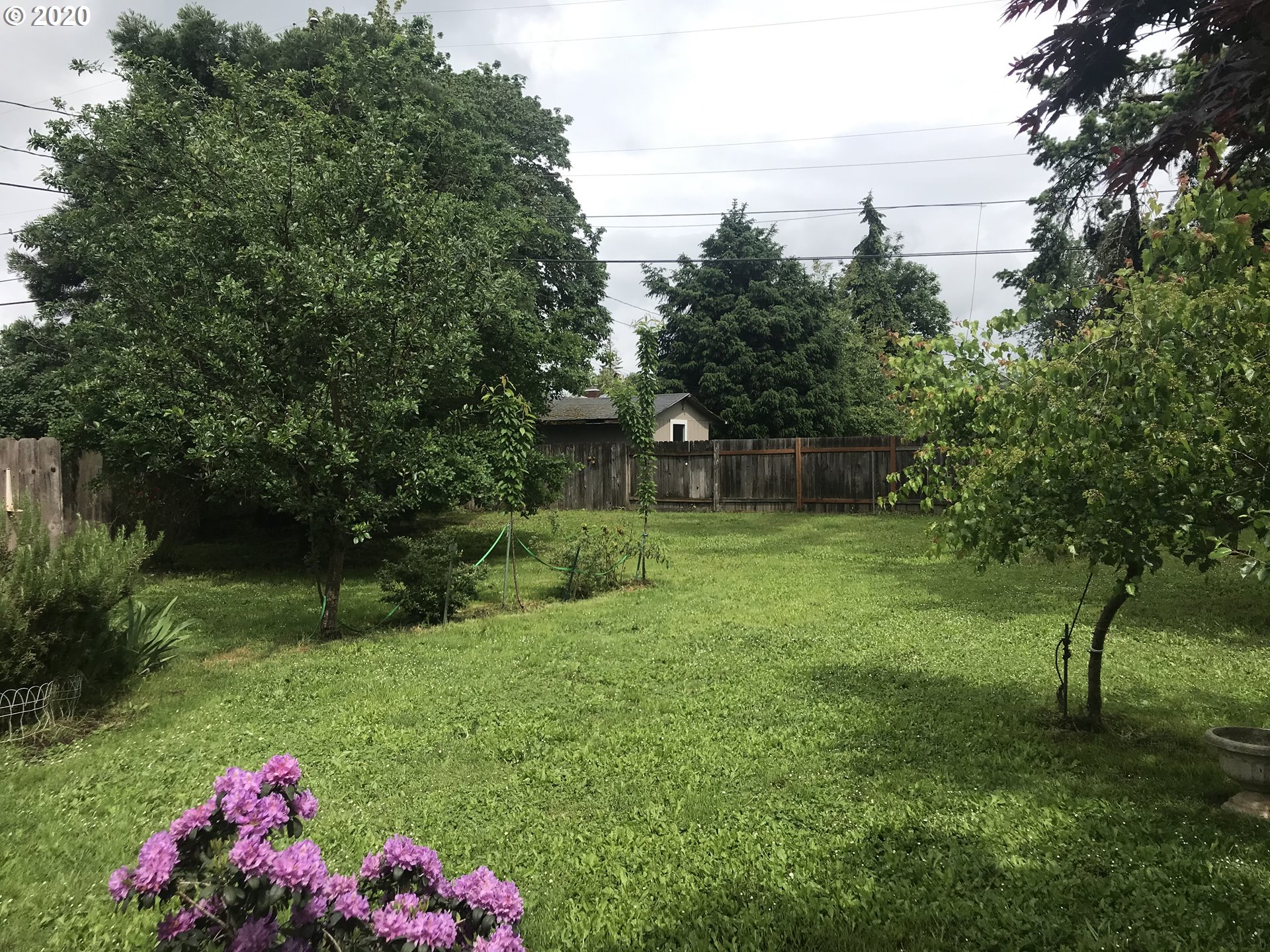 880 25th Place Springfield, OR 97477 - Photo 2 of 14