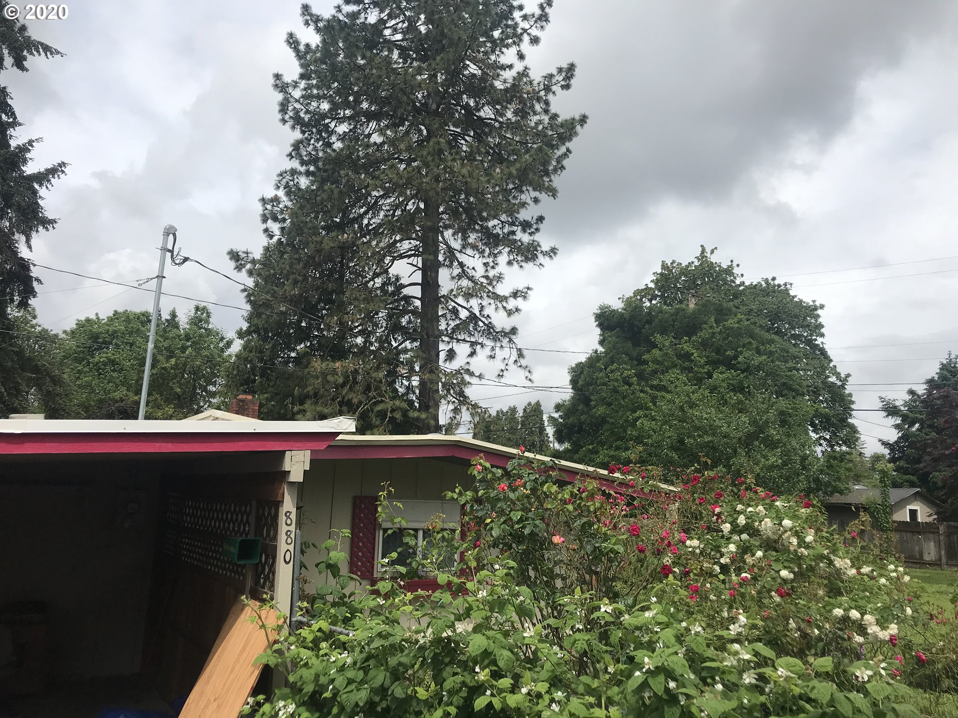 880 25th Place Springfield, OR 97477 - Photo 3 of 14
