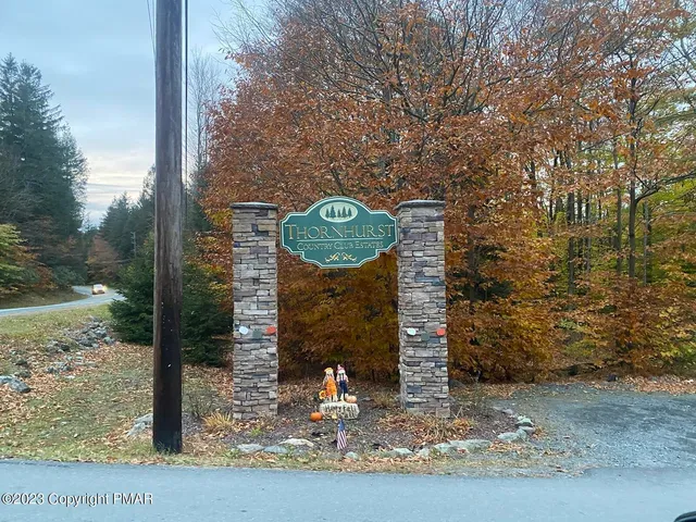 a view of a park with large trees
