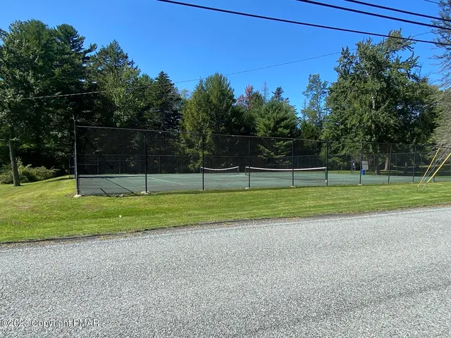 a view of a park with large trees