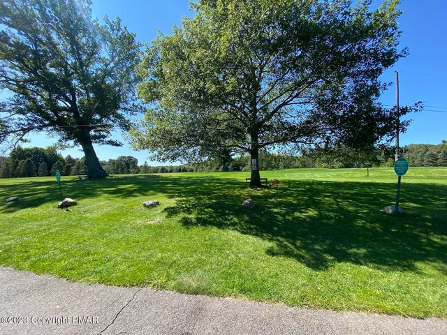 a view of a swimming pool with a yard