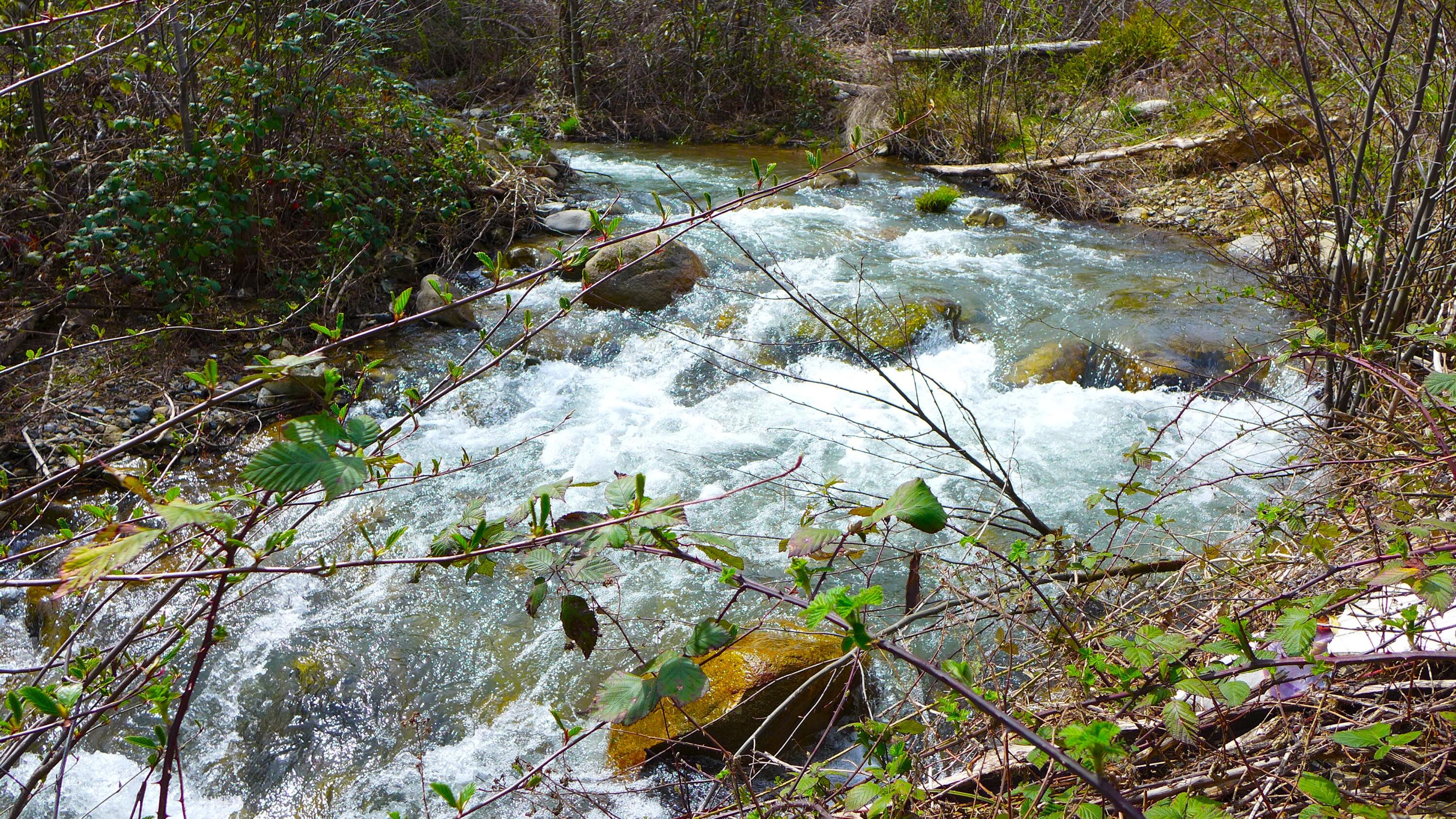 0 French Gulch Road French Gulch, CA 96033 - Photo 3 of 30