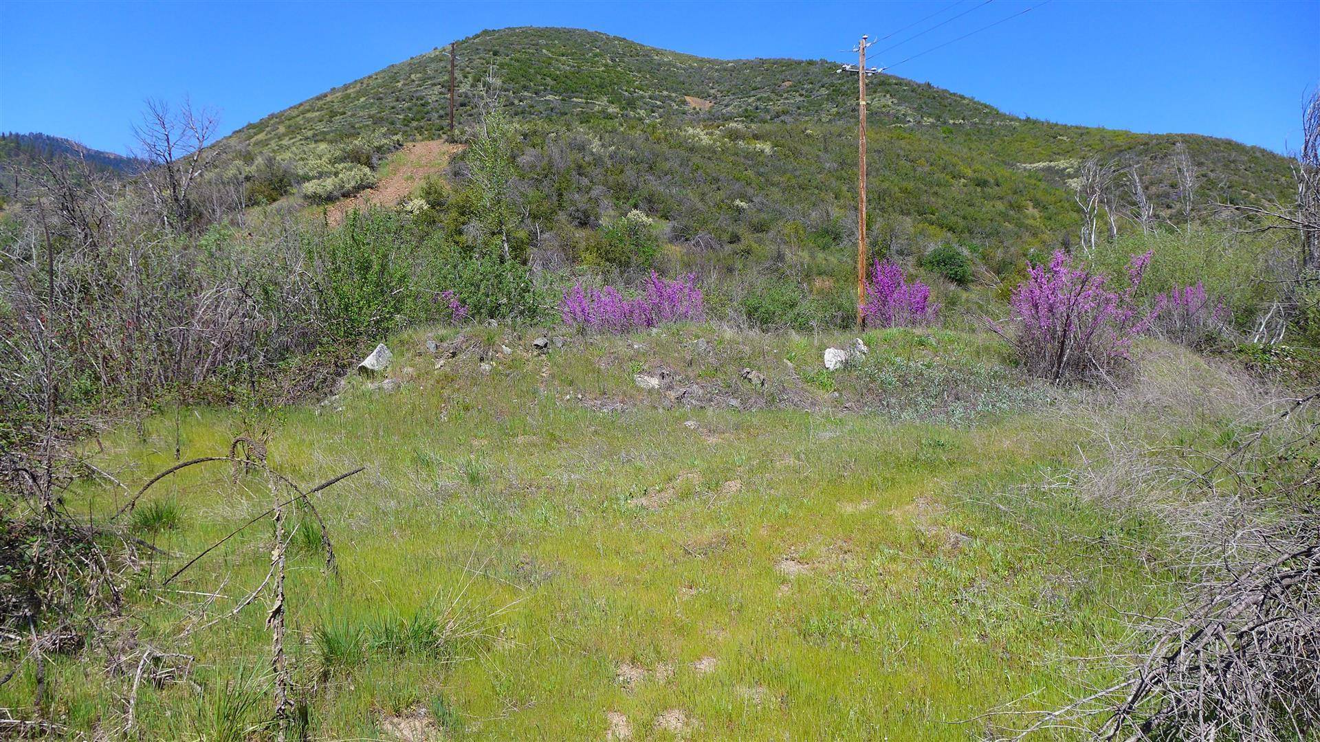 0 French Gulch Road French Gulch, CA 96033 - Photo 6 of 30 a view of small yard