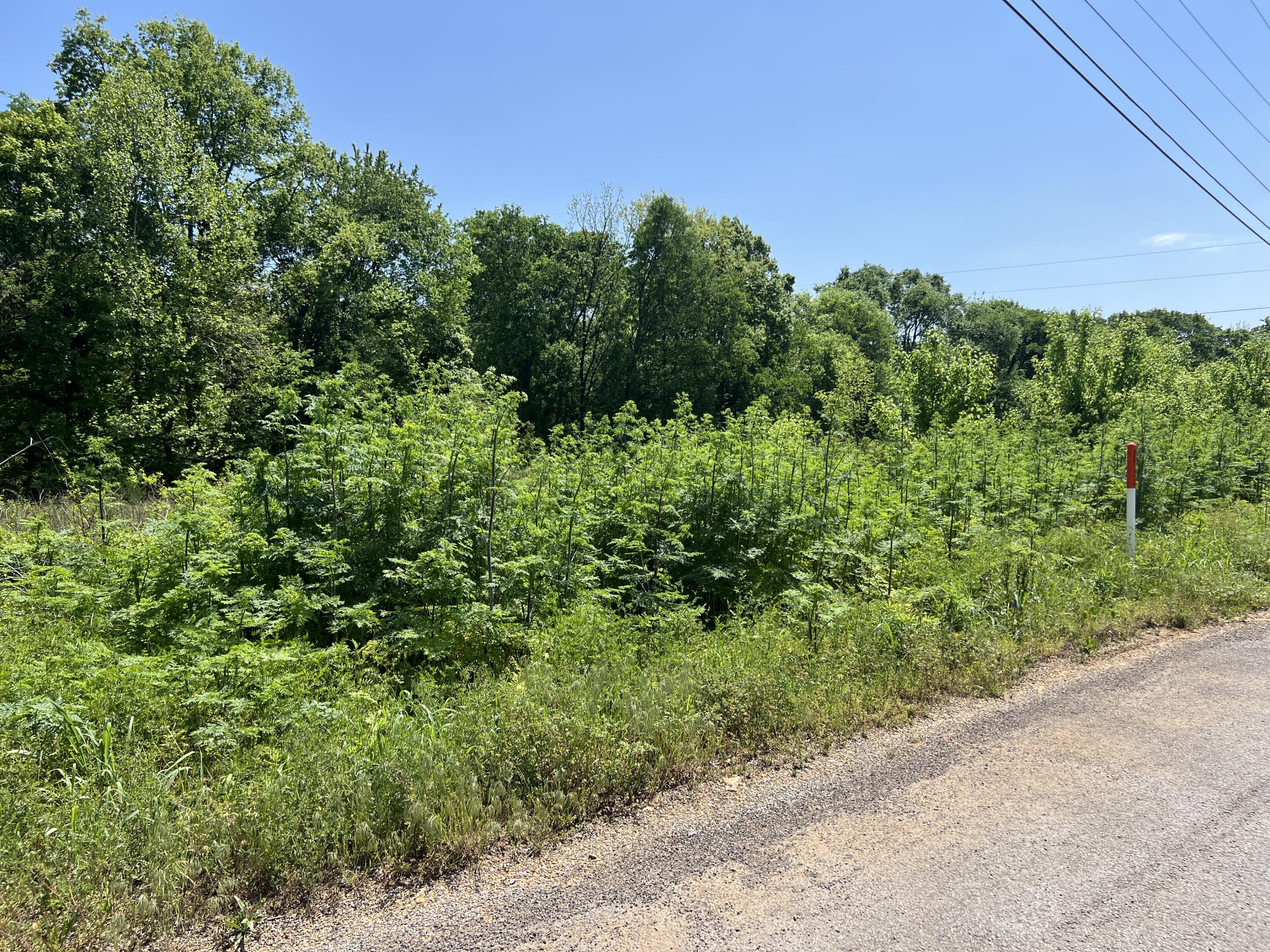 0 Hwy 11 S Riceville Tn 37370 South Riceville, TN 37370 - Photo 11 of 13 IMG_0483