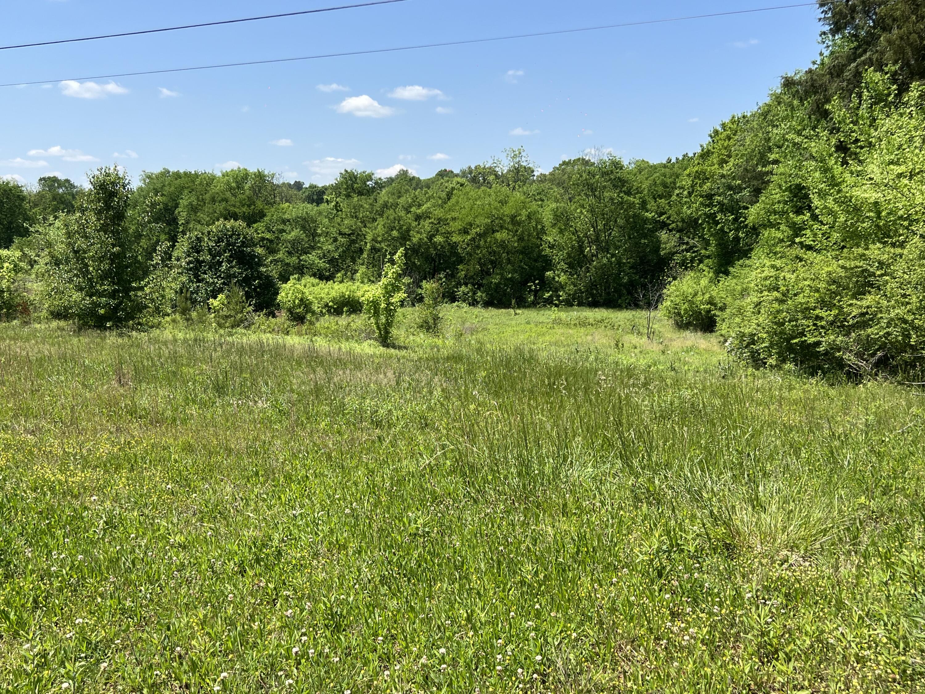 0 Hwy 11 S Riceville Tn 37370 South Riceville, TN 37370 - Photo 2 of 13 IMG_0463