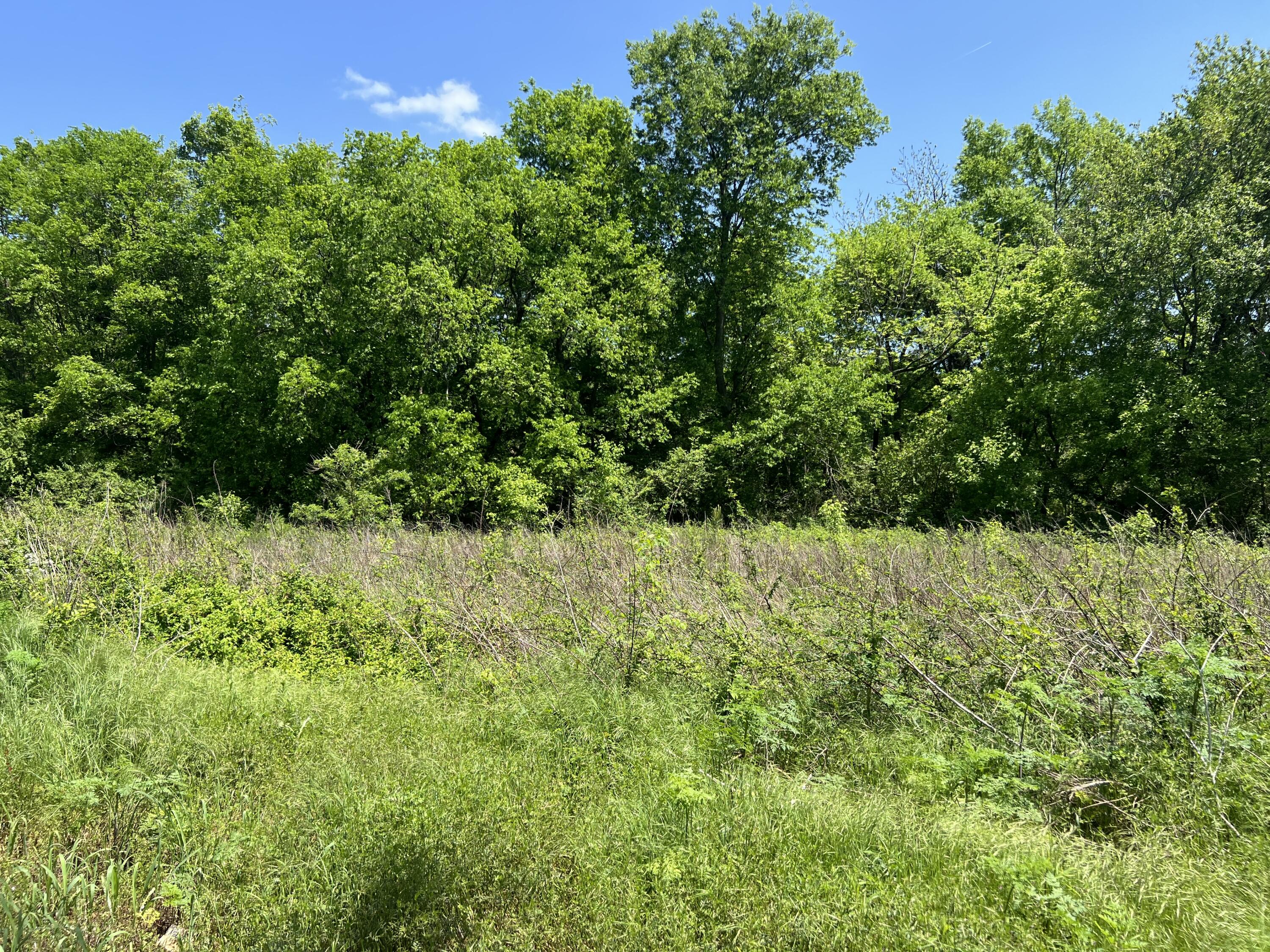 0 Hwy 11 S Riceville Tn 37370 South Riceville, TN 37370 - Photo 3 of 13 IMG_0480