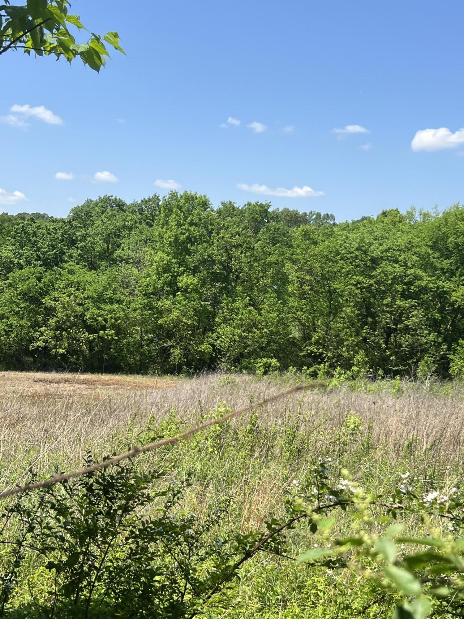 0 Hwy 11 S Riceville Tn 37370 South Riceville, TN 37370 - Photo 4 of 13 IMG_0475