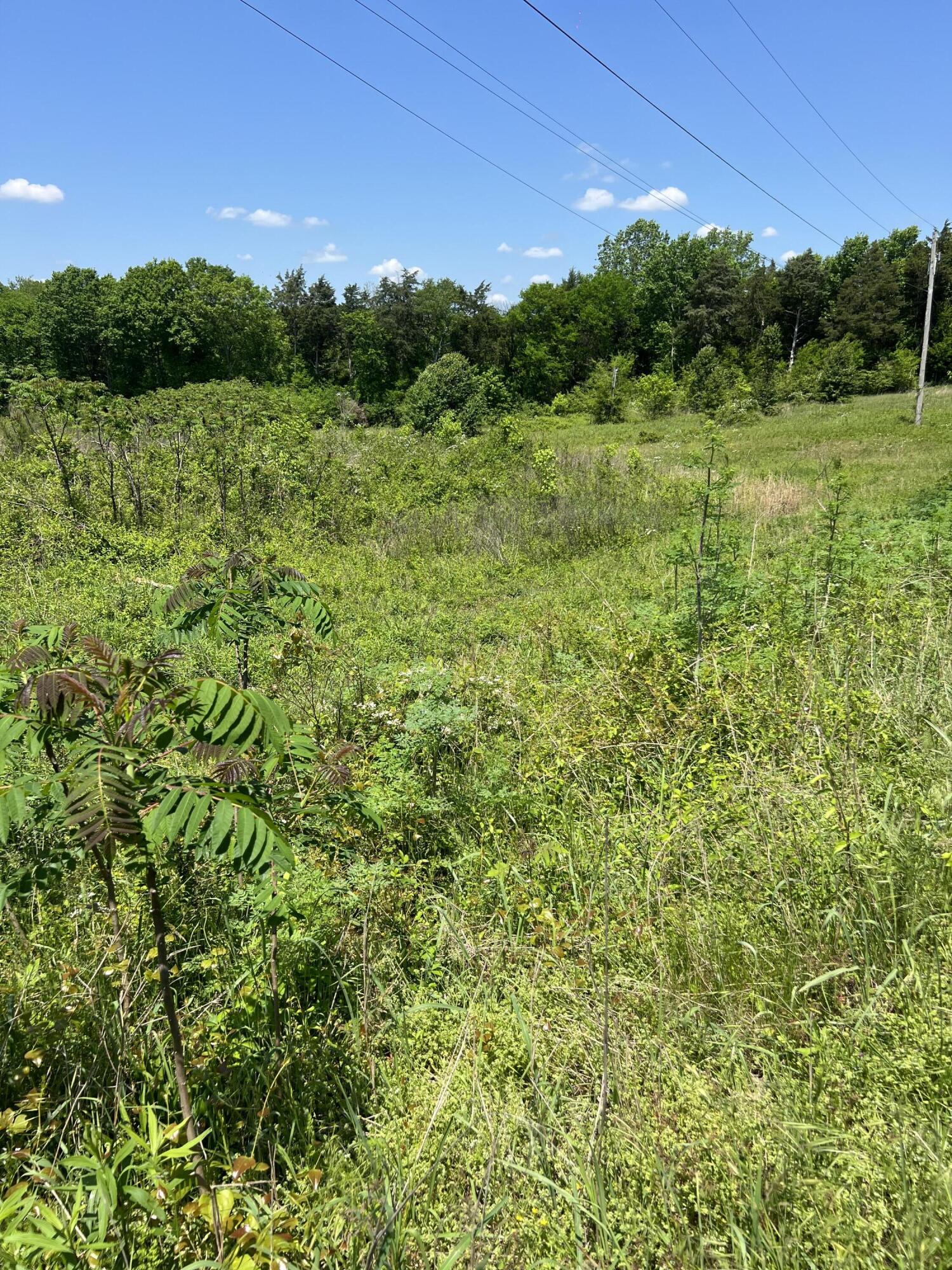 0 Hwy 11 S Riceville Tn 37370 South Riceville, TN 37370 - Photo 5 of 13 IMG_0471