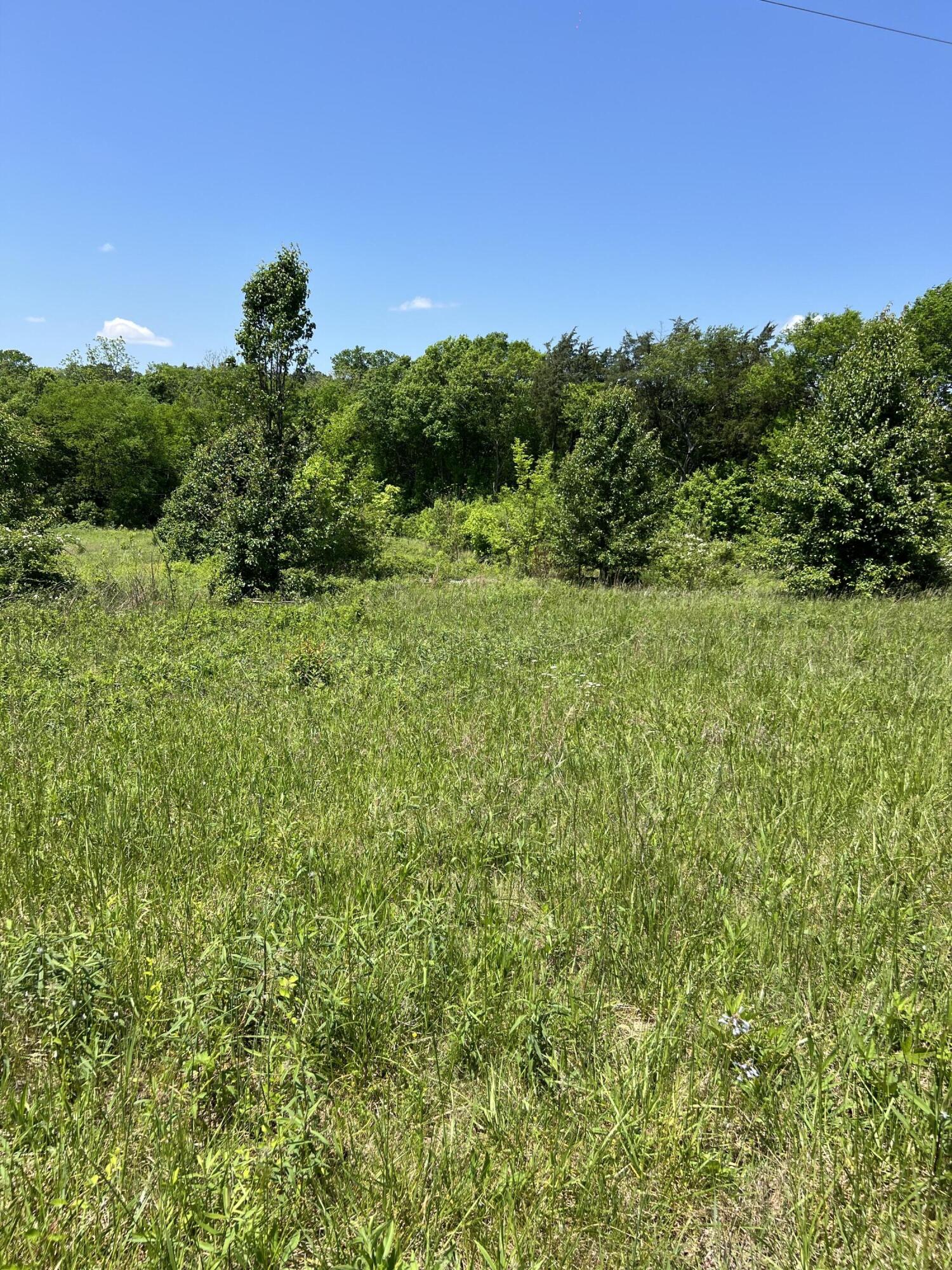 0 Hwy 11 S Riceville Tn 37370 South Riceville, TN 37370 - Photo 7 of 13 IMG_0466