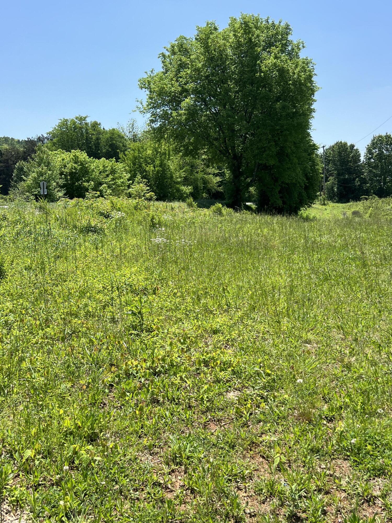 0 Hwy 11 S Riceville Tn 37370 South Riceville, TN 37370 - Photo 8 of 13 IMG_0465