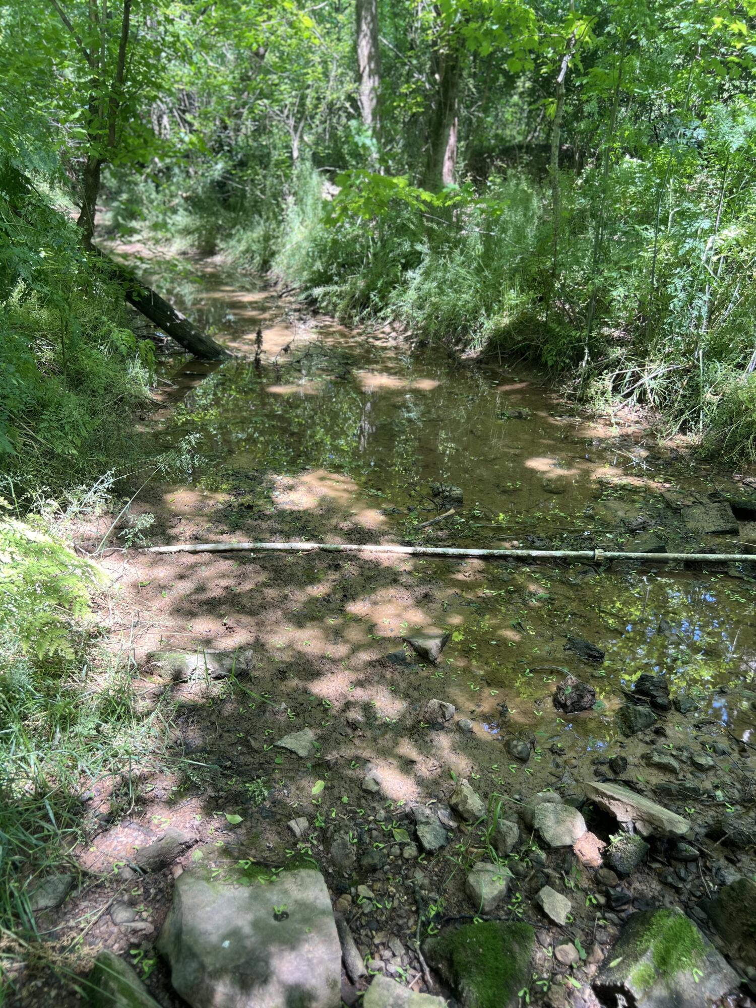 0 Hwy 11 S Riceville Tn 37370 South Riceville, TN 37370 - Photo 9 of 13 IMG_0476