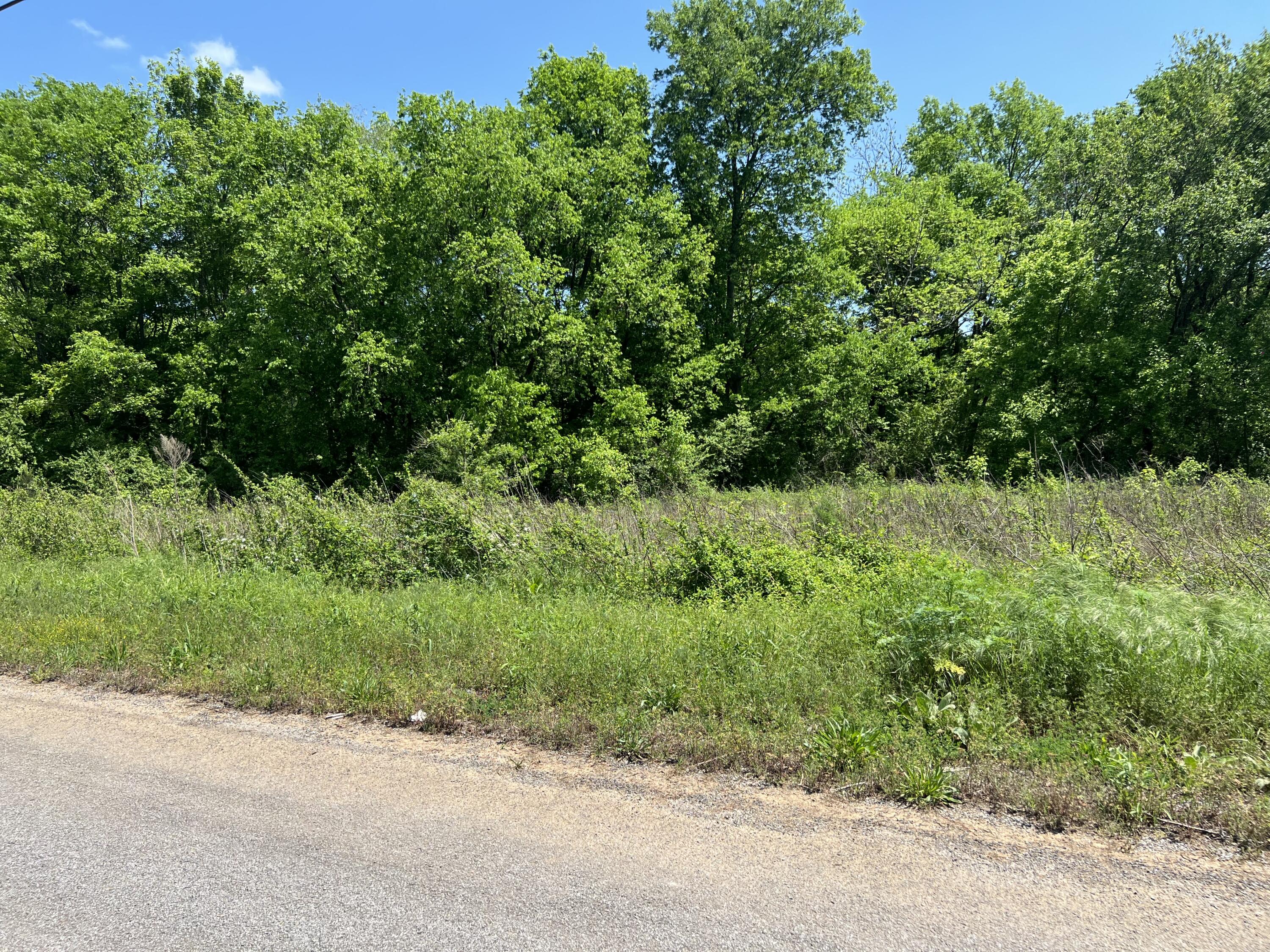 0 Hwy 11 S Riceville Tn 37370 South Riceville, TN 37370 - Photo 10 of 13 IMG_0482