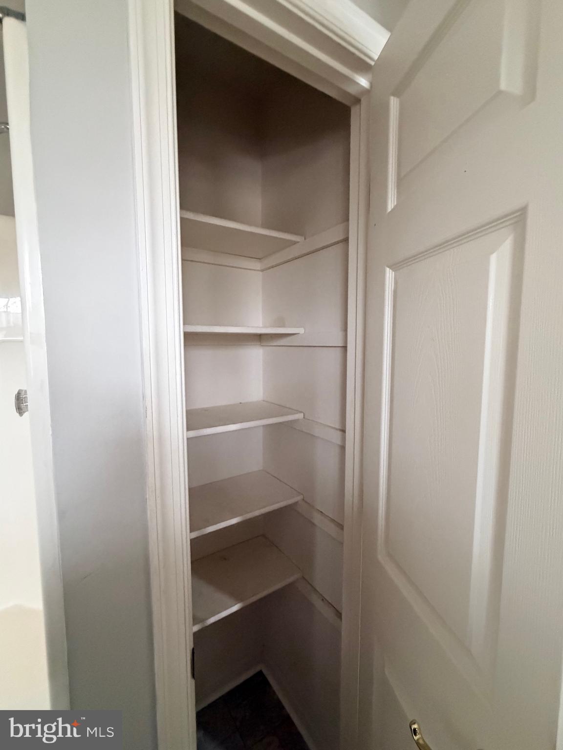 156 Sparrow Road Hummelstown, PA 17036 - Photo 12 of 29 a view of walk in closet with empty racks