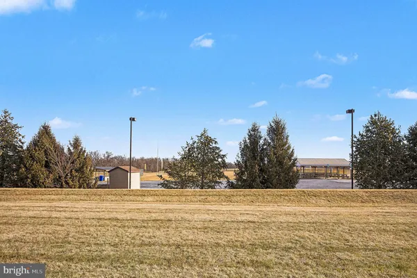 a view of a water with large trees
