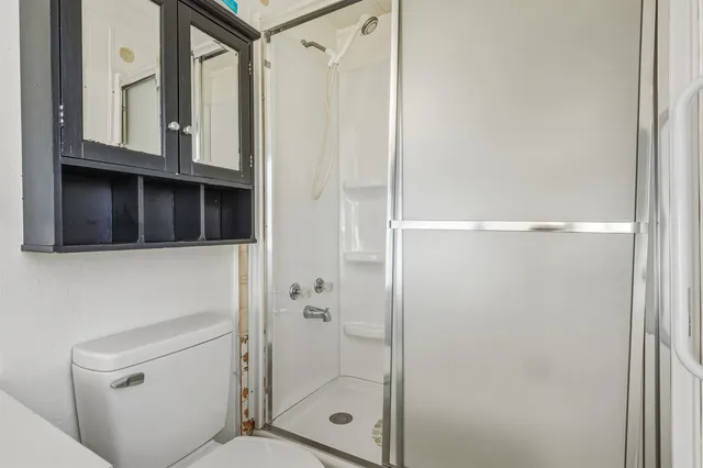 a bathroom with a shower and a toilet
