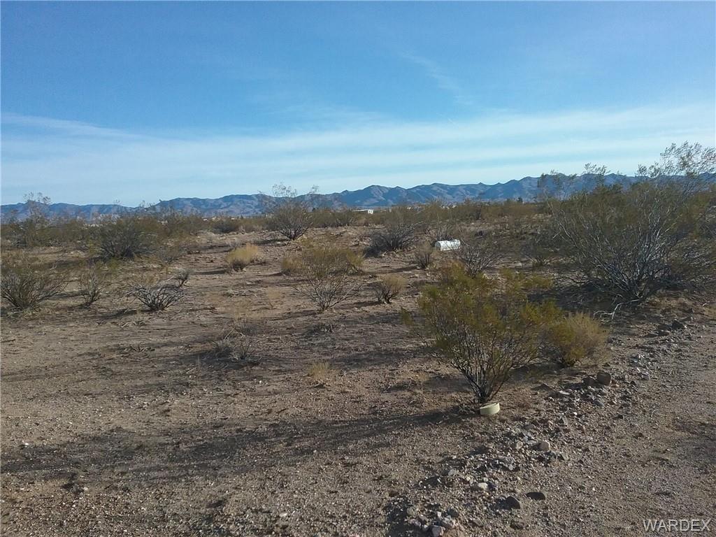 a view of a dry yard with mountains in the background