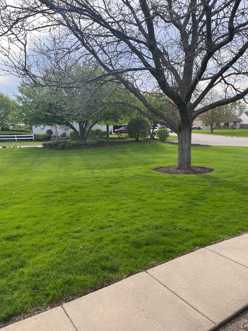 570 Timber Drive Harvard, IL 60033 - Photo 4 of 11