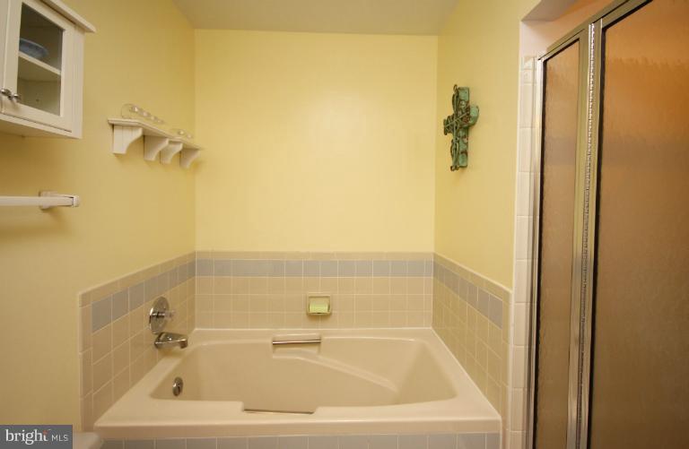 7905 Poplar Grove Road Severn, MD 21144 - Photo 18 of 29 Bath (Master)