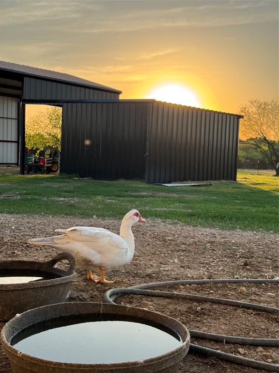 2515 County 141 Road Kaufman, TX 75142 - Photo 5 of 35
