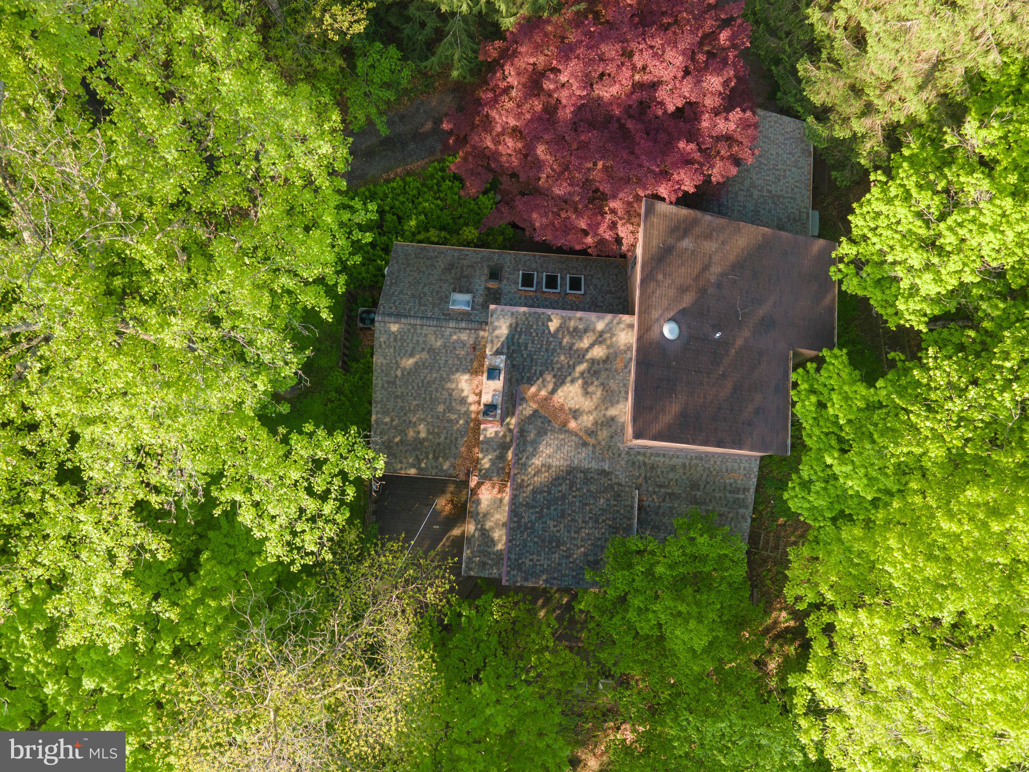 1223 Steamboat Run Road Shepherdstown, WV 25443 - Photo 52 of 57