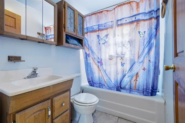 a bathroom with a sink a toilet and a bathtub