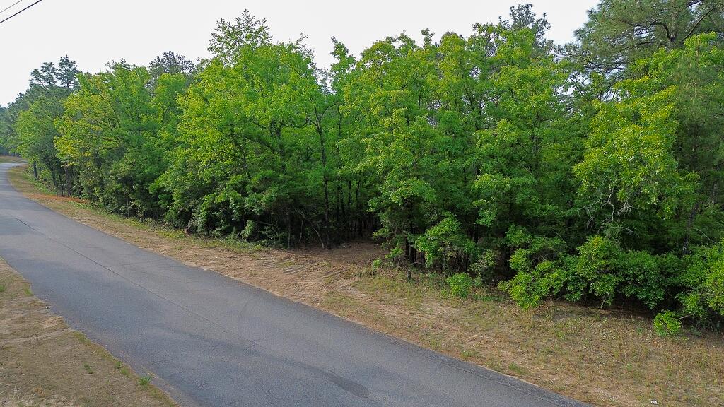 0 Mt Zion Road, Unit 5 Trenton, SC 29847 - Photo 22 of 26