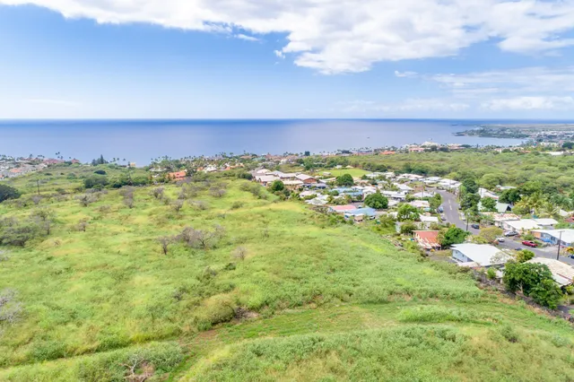 a view of a bunch of trees and houses