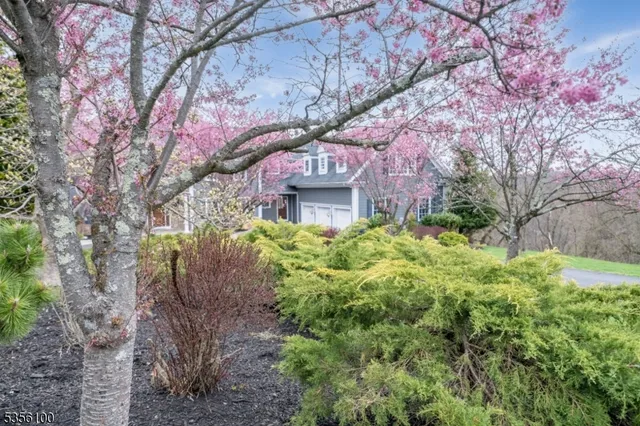 a view of a pathway of a building