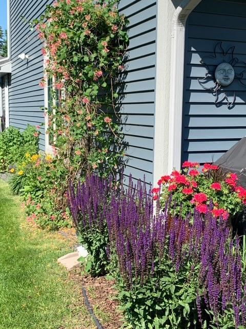 2619 Tuxedo Lane Northwest Rochester, MN 55901 - Photo 2 of 4