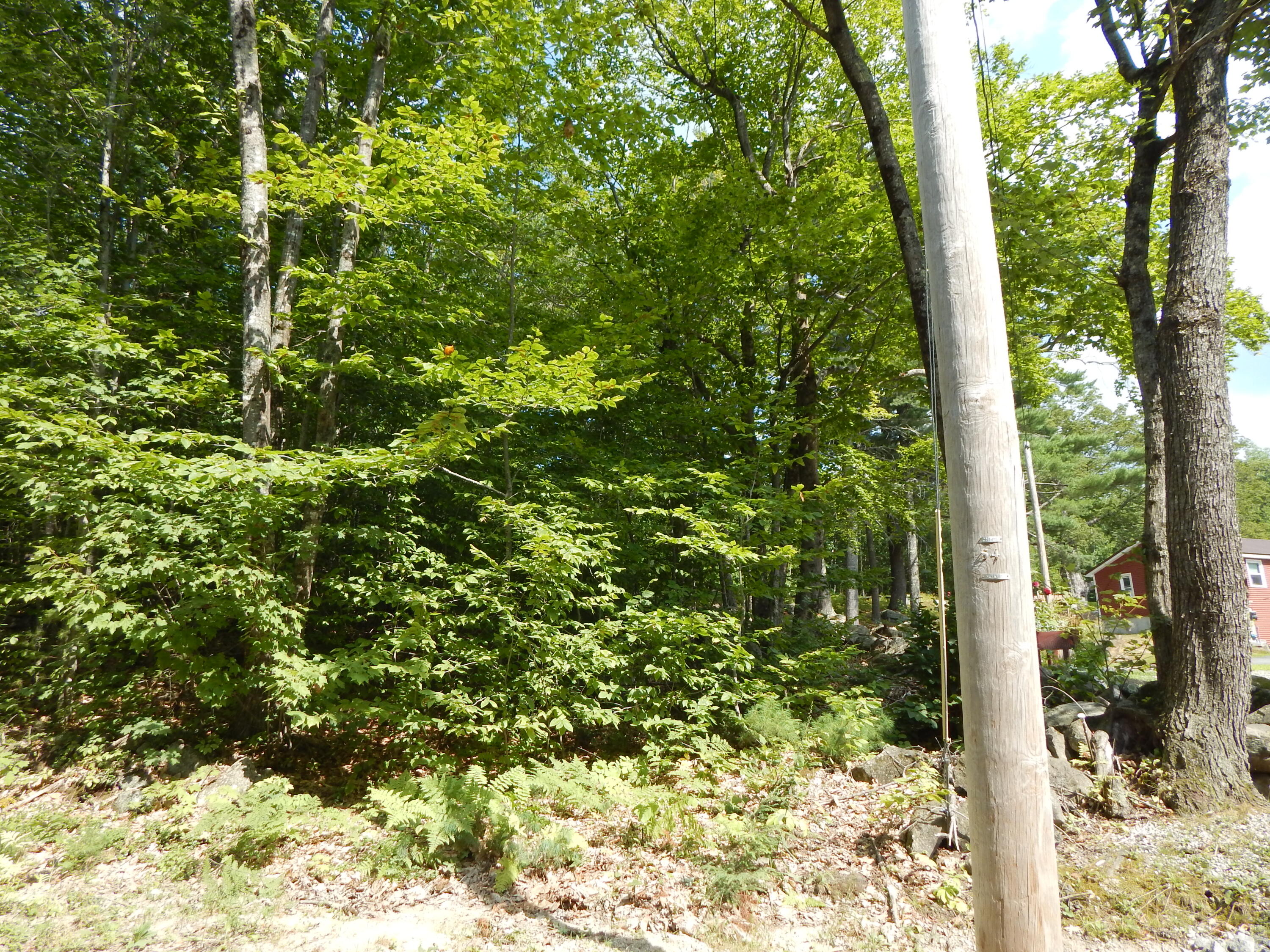 Lot 6 Maplecrest Road Parsonsfield, ME 04047 - Photo 4 of 17 DSCN3387