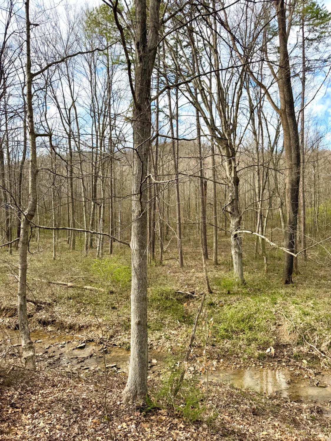 0 Fyffe Hollow Road Chillicothe, OH 45601 - Photo 72 of 96