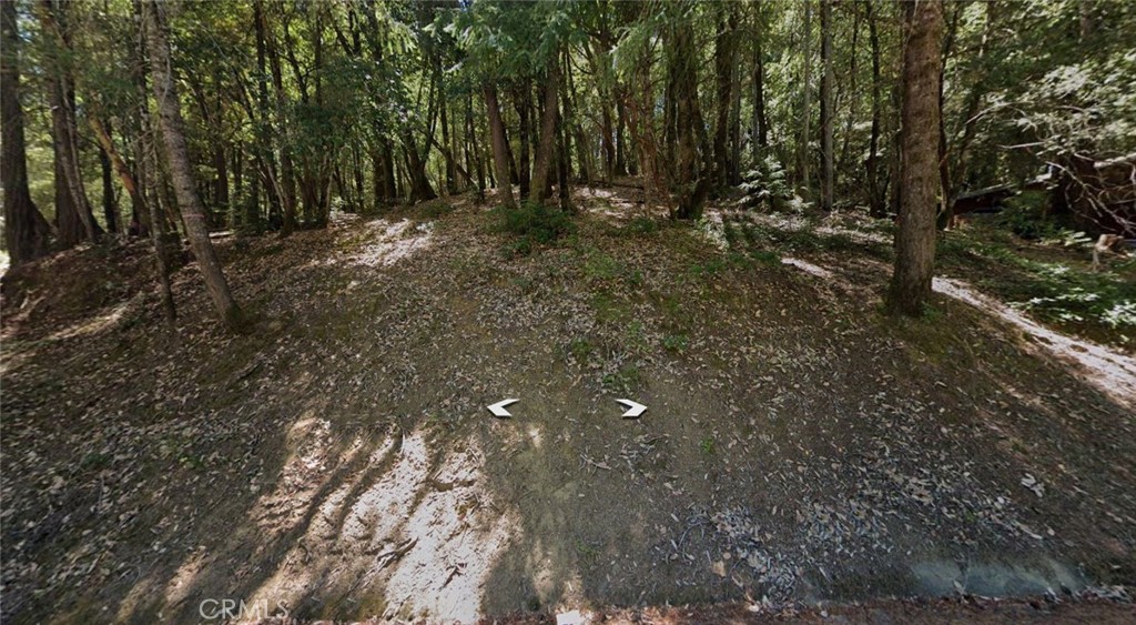 24937 Clover Road Willits, CA 95490 - Photo 1 of 2 a backyard of a house with lots of green space