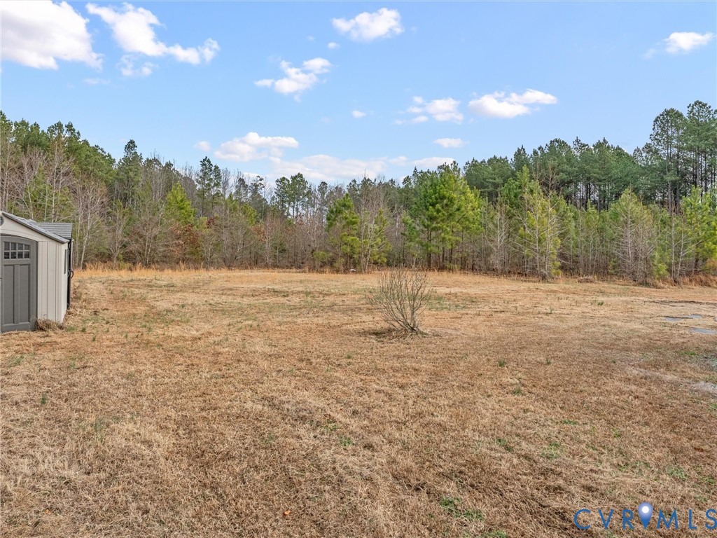 4772 Carsley Road Waverly, VA 23890 - Photo 30 of 38 View of yard with a storage shed
