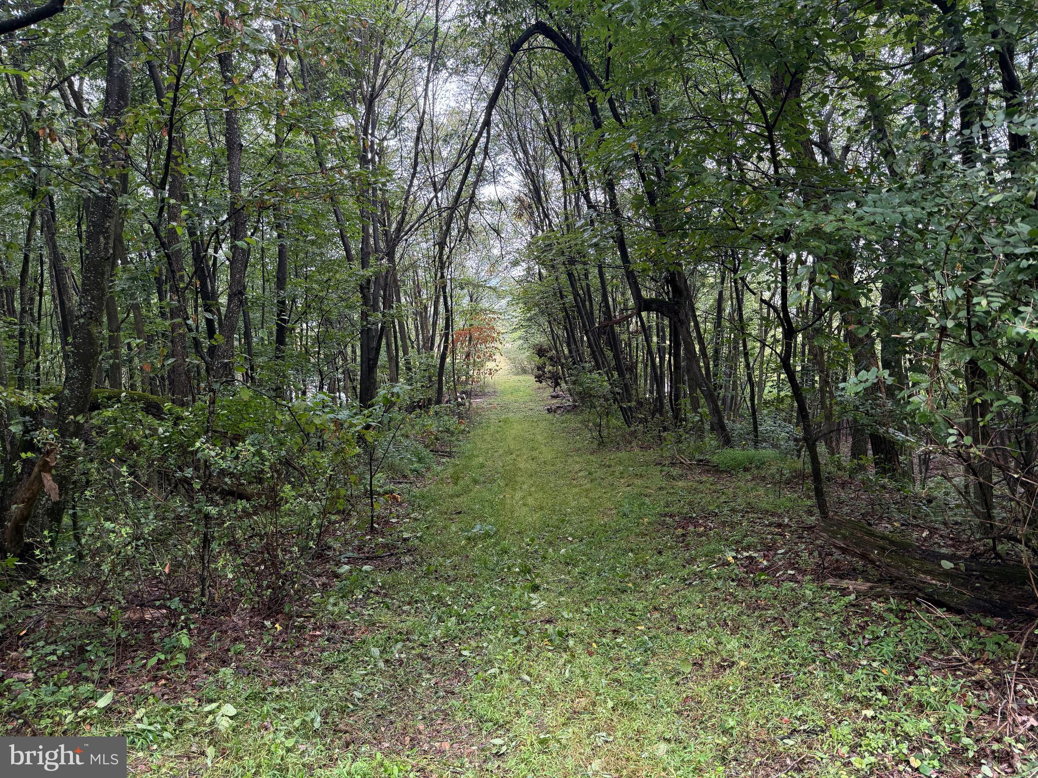 0 Pinnacle Road Keyser, WV 26726 - Photo 52 of 61