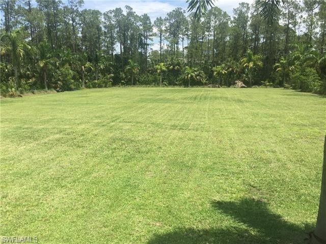 4231 Pine Ridge Road Naples, FL 34119 - Photo 18 of 18 a view of a field with a trees in the background