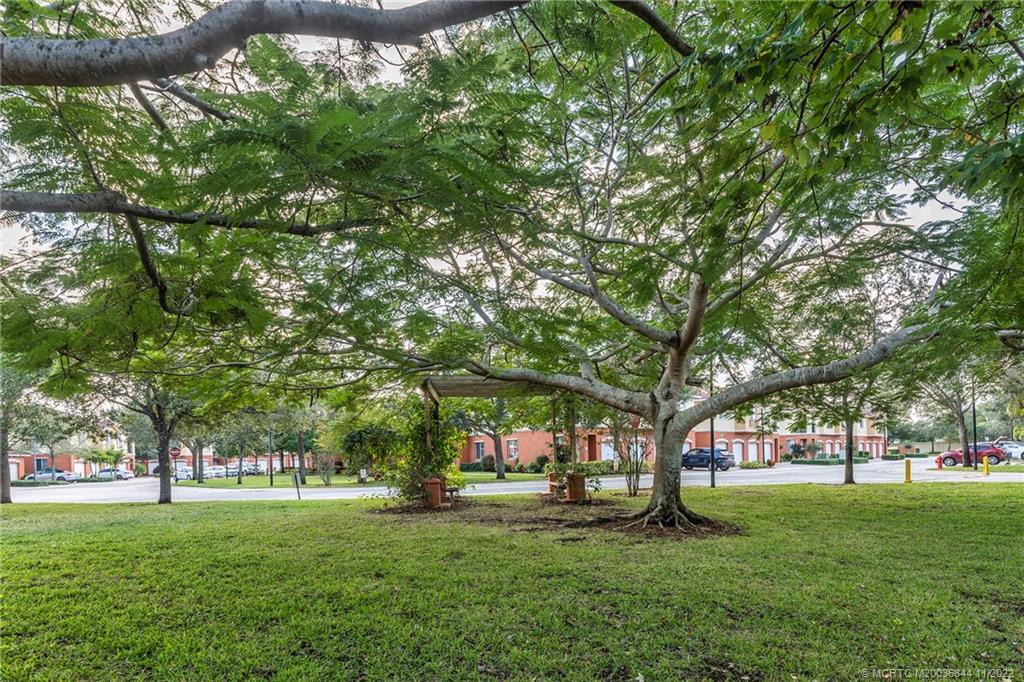 55 Southeast Palermo, Unit 203 Stuart, FL 34994 - Photo 8 of 10 a view of a trees in a park