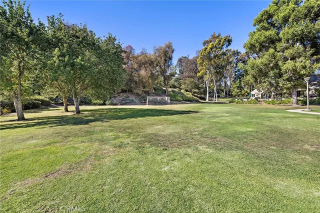 a view of a field with trees in the background