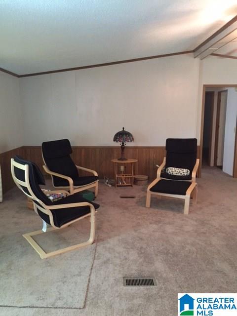 108 Brown-Hill Road Steele, AL 35987 - Photo 5 of 24