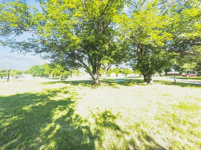 a view of lawn chairs and trees